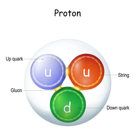 Image result for Gluon Color