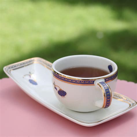 'Gulbahaar' Tea Cup & Cookie Plate (230ml) – Namrata Kedia Design