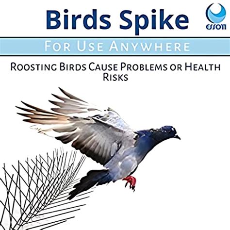 Essoti Store Pigeon Bird Control Spike Set of 7 Pieces for AC Outdoor ...