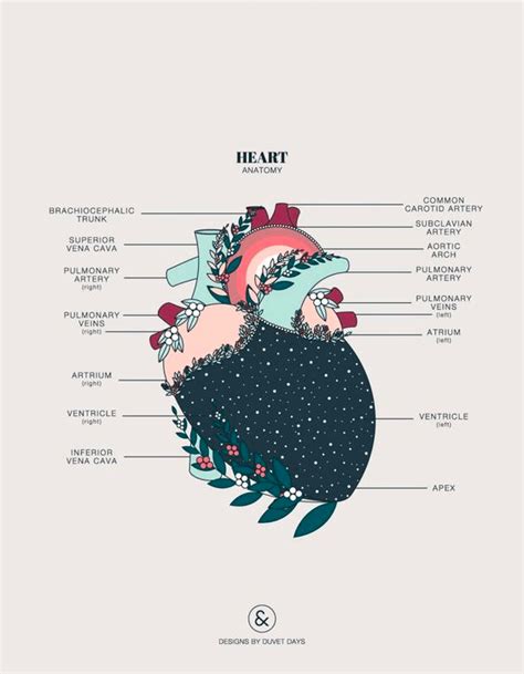 Different Types of Drawing Styles 的图像结果