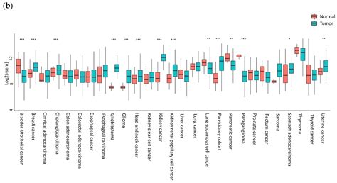 New Insights on the Emerging Genomic Landscape of CXCR4 in Cancer: A ...
