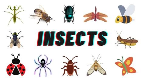 How Insects Fly 的图像结果