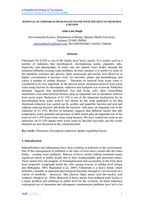 Image result for Chromium Waste From Modjo