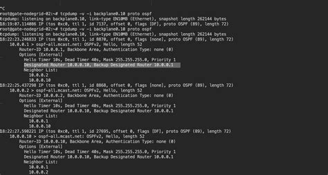 Configuring OSPF 的图像结果