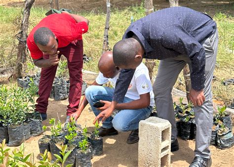 Zambians Feel the Personal Consequences of Climate Change—and Dream of a Sustainable Future ...