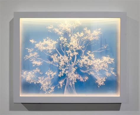 Image result for Visual Display Project Examples