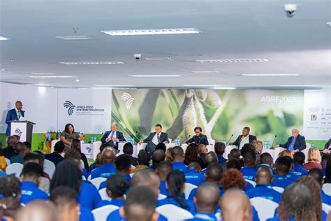 NMB Local Economic Development 的图像结果