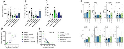 Antibodies Targeting Human or Mouse VSIG4 Repolarize Tumor-Associated ...