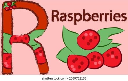 Image result for Classification Study