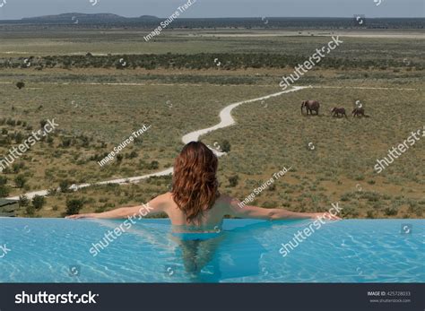 Image result for Infinity Elephants