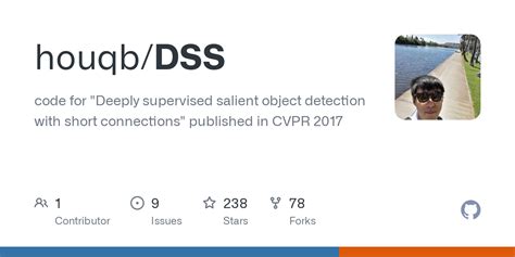 DSS Tutorial 的图像结果