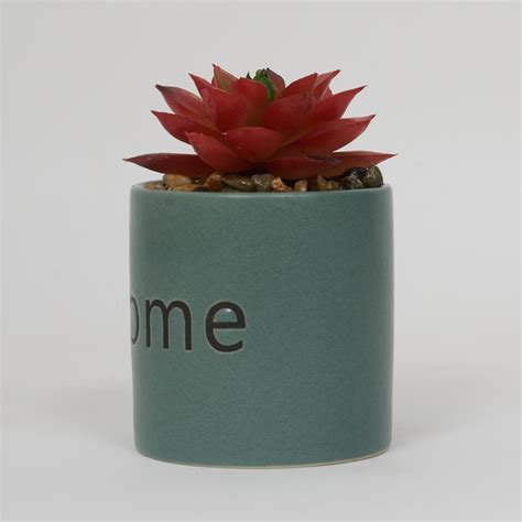 Buy Garnet Garden Artificial Succulent in Ceramic Planter from Home ...