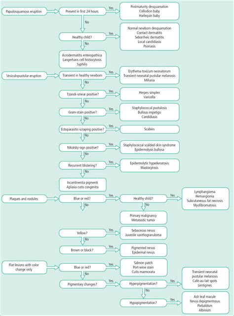 Image result for Rash Algorithm