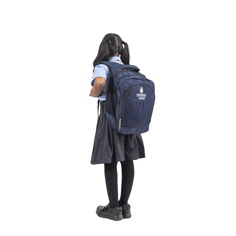 Harsha International Public School.