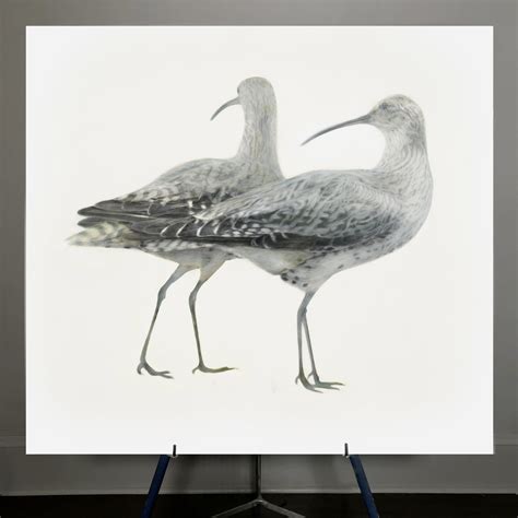 The Lost Bird Project – North American Reciprocal Museum (NARM ...