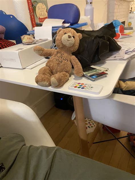 Help! Lost Childs brown teddy bear at Newark airport. Reward if found ...