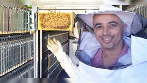 Israeli-based startup 'Beewise' aims to revive the disappearing bee ...