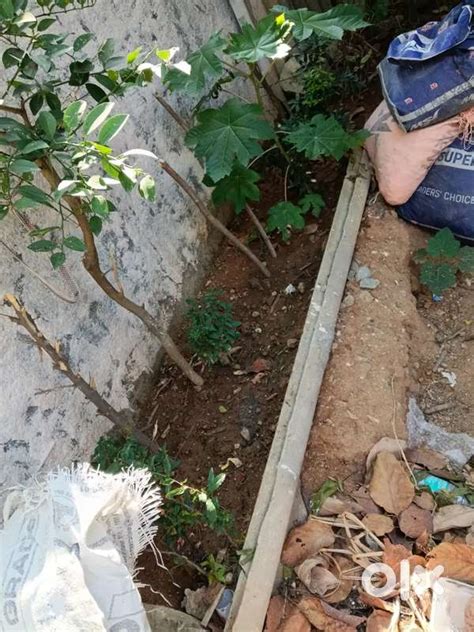 My old house for sale (plot)total 2008 sft old sheet house - For Sale ...