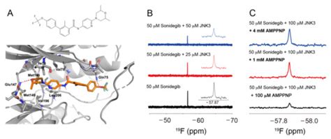 Sonidegib Suppresses Production of Inflammatory Mediators and Cell ...