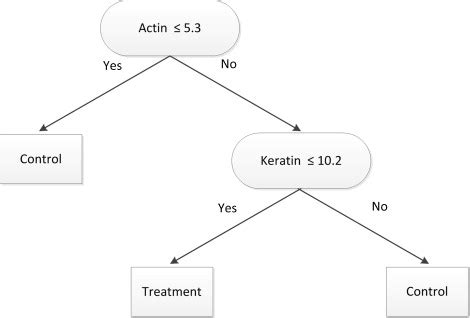 Image result for Binary Classification Model Diagram Example