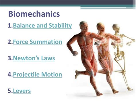 PPT - Biomechanics in Physical Education PowerPoint Presentation, free ...