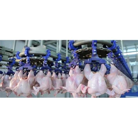 Small Commercial Chicken Processing 的图像结果
