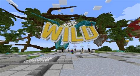 Image result for Minecraft PvP Servers Java