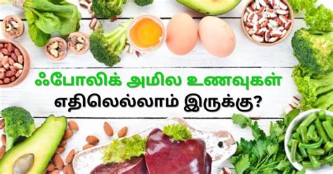 ஃபோலிக் அமிலம் நிறைந்த உணவுகள் - Folic Acid Rich Foods in Tamil