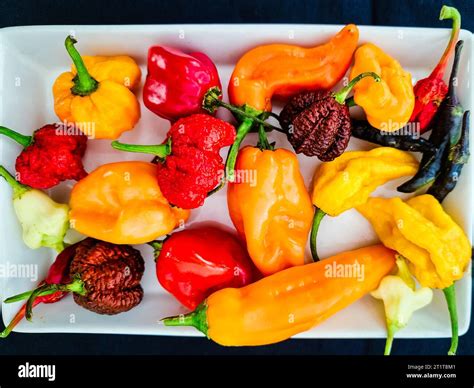 Collection of different types of small hot peppers Stock Photo - Alamy
