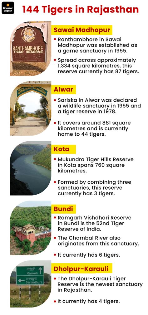 Territorial fight between 2 tigresses caught on camera: Tourists at ...