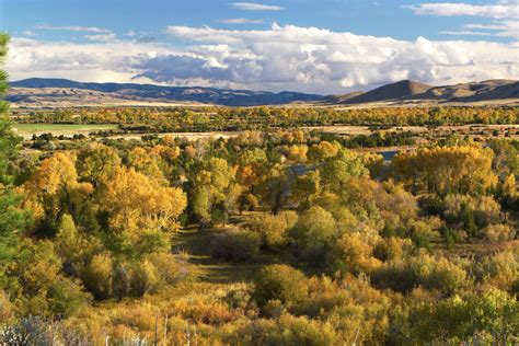 Duck Creek Utah Campground Map Publications | Utah State Parks