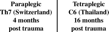 Image result for ICF Body Structures
