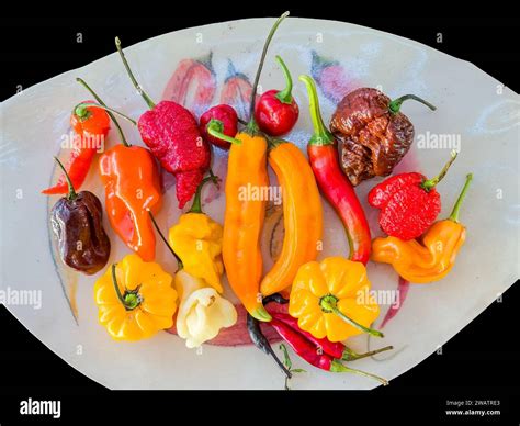Collection of different types of small hot peppers Stock Photo - Alamy