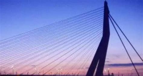 Signature Bridge Gets Themed Lighting | WhatsHot Delhi Ncr