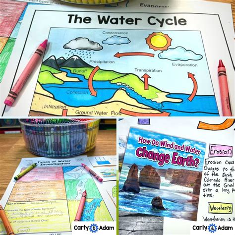 Grade 2 Science 的图像结果