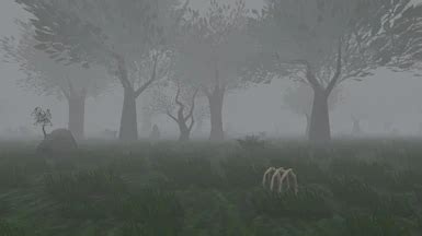 Image result for Daggerfall Unity 3D Trees