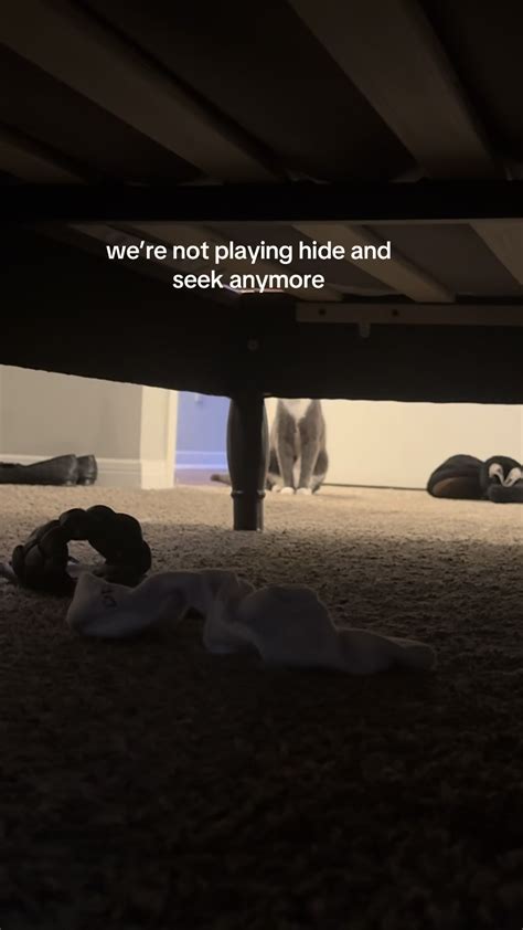 Collecting more bops 🫣 @Ari Kytsya | Camilla Araujo (@camilla)