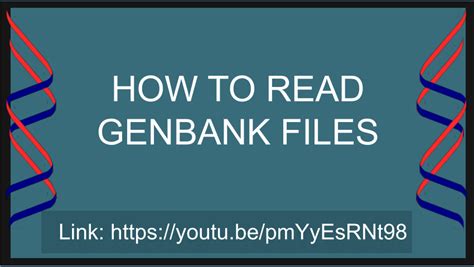 GenBank File 的图像结果