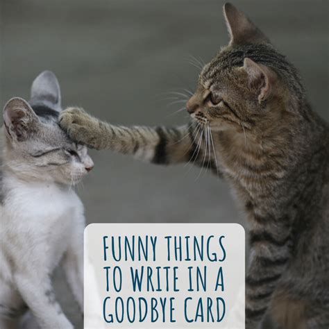 Funny Animal Goodbye Sayings at Gerald Tapia blog