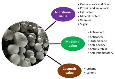 Mushroom Nutrition Protein Value at Chelsea Elyard blog