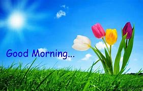 Image result for Good Spring Morning Everyone