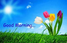 Image result for Free Pictures of Good Morning Spring