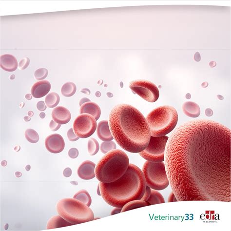 Platelet Cell Distribution Width at Carolyn Redington blog