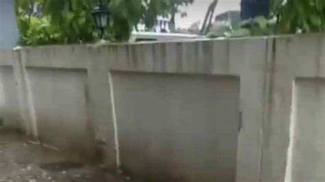 Petition · Stray Dog in Worli, Mumbai brutally beaten up for seeking ...