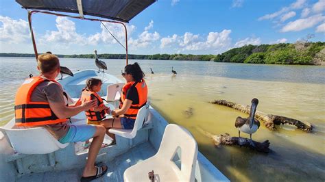 Wildlife In Cancun, Mexico: What Kind Of Animals You Can See