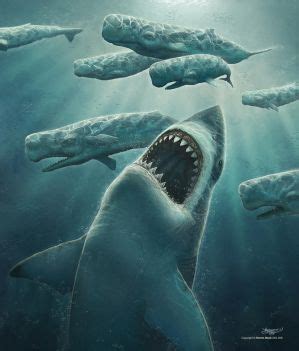 《巨齿鲨》“深海降临”版定档预告片，史前巨鲨显露身影_凤凰网视频_凤凰网