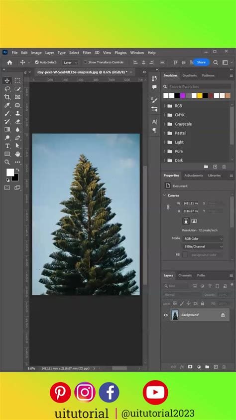 Image result for Photoshop Background Removal Tutorial