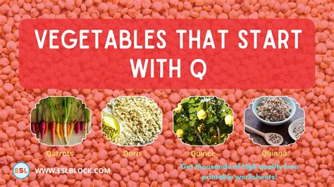Vegetables That Start With Q - English as a Second Language