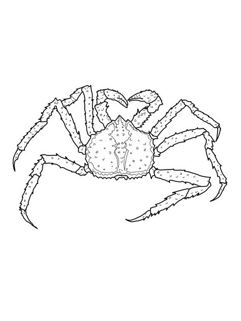 Free Printable Crab Coloring Pages For Kids