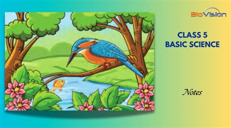 Image result for Class 5 Science All Chapter Name